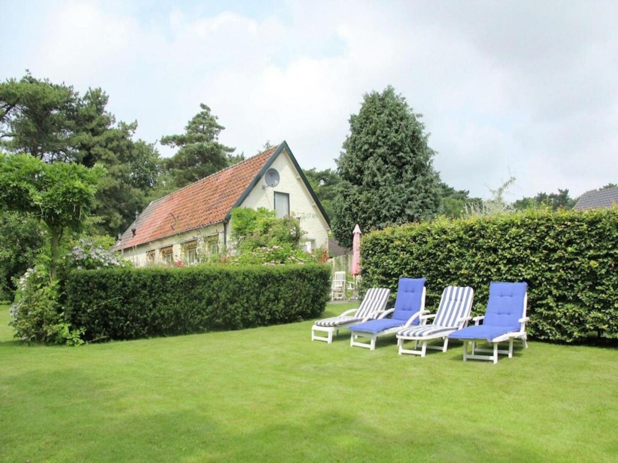 Bonte Specht Villa Schoorl Bagian luar foto